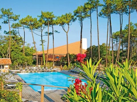 Résidence Domaine de l'Agréou - Camping Landes