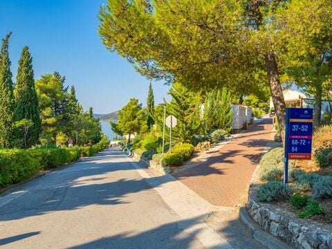 Amadria Park Camping Trogir - Camping Split-Dalmatien - Image N°19