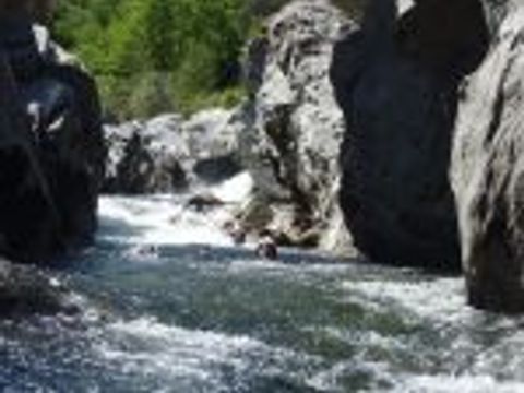 Camping Le Verdier - Camping Gard - Image N°13