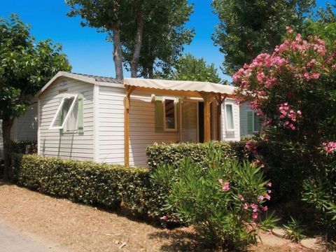 MOBILHOME 4 personnes - COCOON - TV