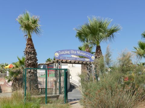 Camping Bleu Marine   - Camping Hérault - Image N°35