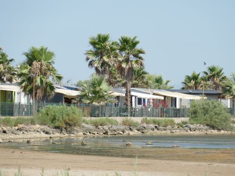 Camping Bleu Marine   - Camping Hérault - Image N°48