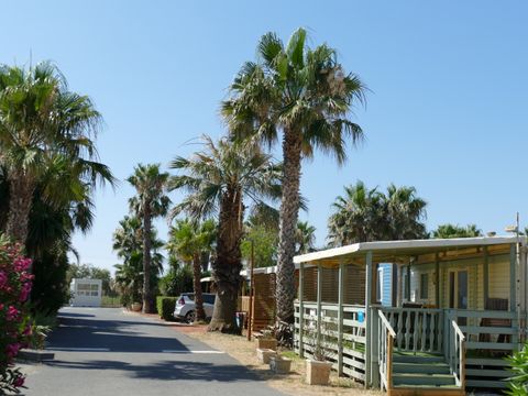 Camping Bleu Marine   - Camping Hérault - Image N°45