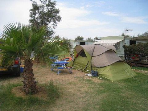 Emplacement - Emplacement tente ou caravane + 1 véhicule + électricité + eau
