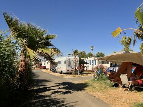 Emplacement - Emplacement tente ou caravane + 1 véhicule + électricité + eau