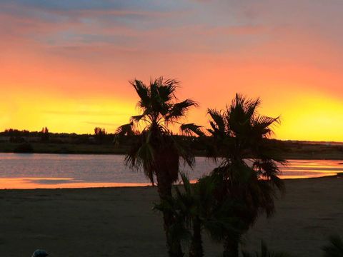 Camping Bleu Marine   - Camping Hérault - Image N°63
