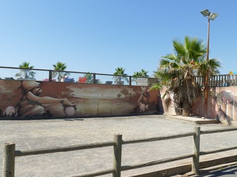 Camping Bleu Marine   - Camping Hérault - Image N°21