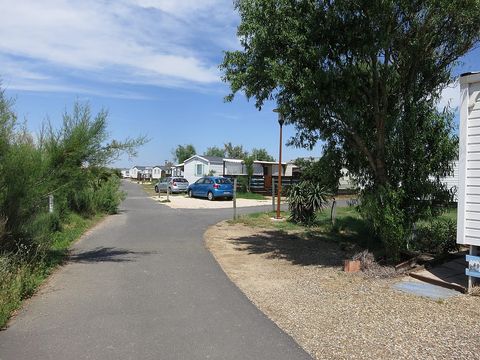 Camping Bleu Marine   - Camping Hérault - Image N°44