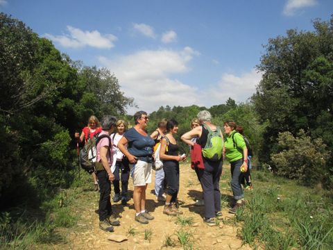 Camping Bleu Marine   - Camping Hérault - Image N°58