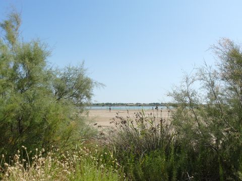 Camping Bleu Marine   - Camping Hérault - Image N°54