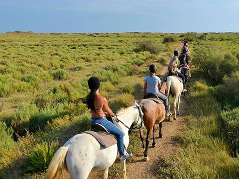 Camping Bleu Marine   - Camping Hérault - Image N°56