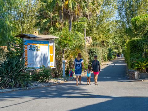 Camping l'Etoile de Mer - Camping Hérault - Image N°40