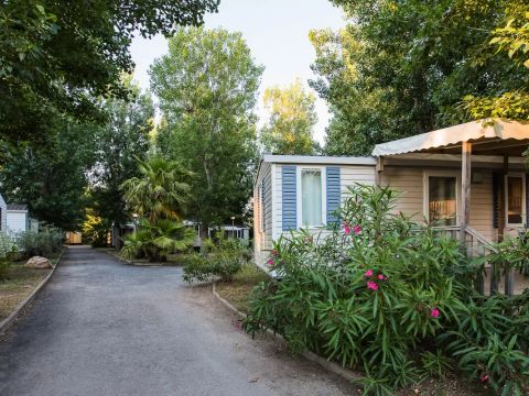 Camping l'Etoile de Mer - Camping Hérault - Image N°38