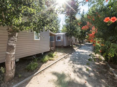 Camping l'Etoile de Mer - Camping Hérault - Image N°37