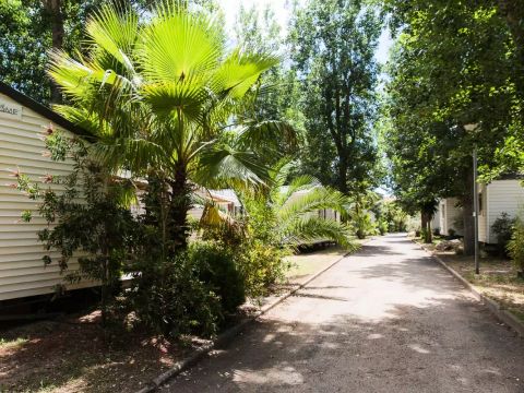 Camping l'Etoile de Mer - Camping Hérault - Image N°36