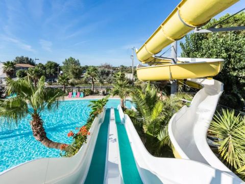 Camping l'Etoile de Mer - Camping Hérault - Image N°12