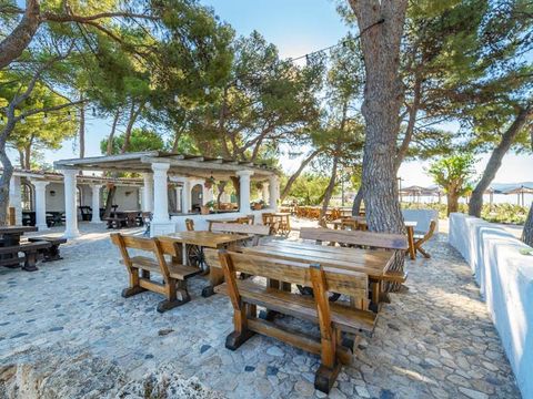 Camping Solaris Amadria Park Sibenik  - Camping Sibenij-Knin - Image N°29
