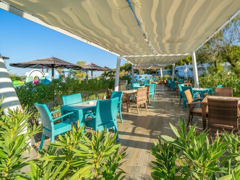 Camping Solaris Amadria Park Sibenik  - Camping Sibenij-Knin - Image N°11