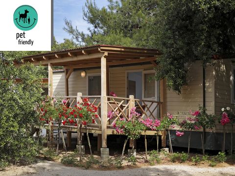 Camping Solaris Amadria Park Sibenik  - Camping Sibenij-Knin - Image N°2