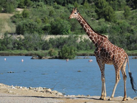 Camping La Grange Neuve - Camping Aude - Image N°19