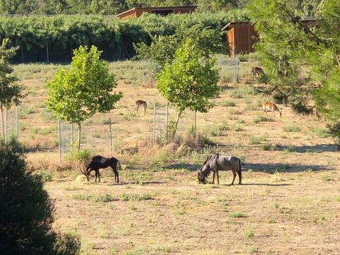 HÉBERGEMENT INSOLITE 2 personnes - ROULOTTE INSOLITE Vue Réserve - Draps, serviettes et ménage inclus