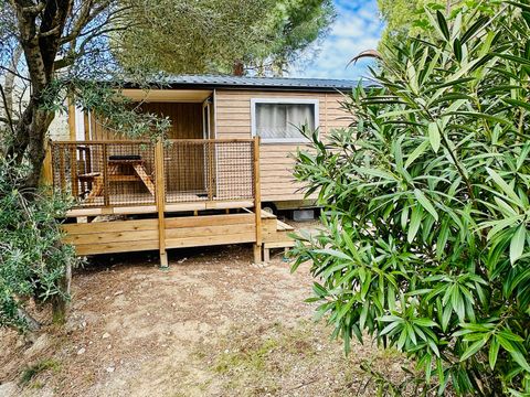 MOBILHOME 4 personnes - COTTAGE CONFORT - Quartier Jardin