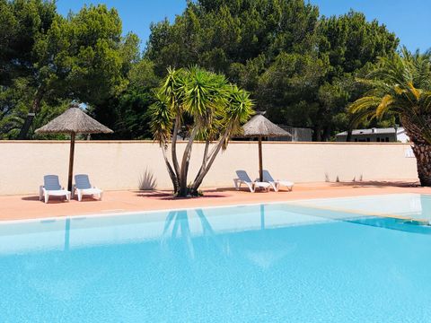 Camping La Grange Neuve - Camping Aude - Image N°21