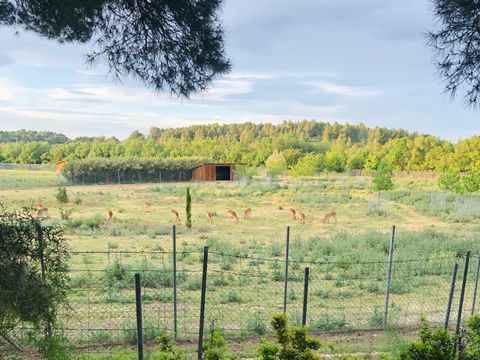Camping La Grange Neuve - Camping Aude - Image N°29