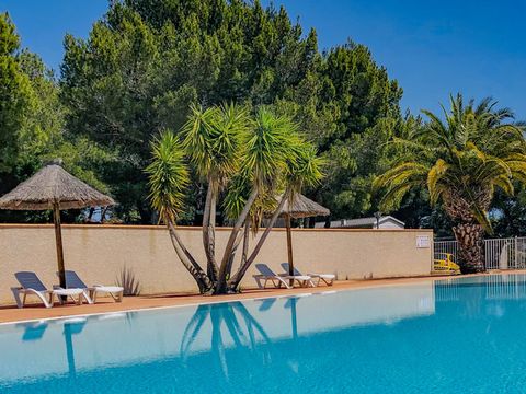 Camping La Grange Neuve - Camping Aude - Image N°2