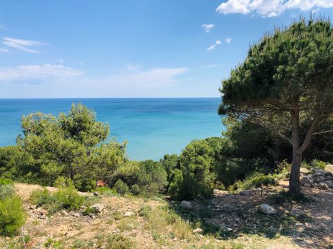 Camping La Grange Neuve - Camping Aude - Image N°11
