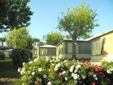 BUNGALOW TOILÉ 4 personnes - Sans sanitaires en arrivée Samedi