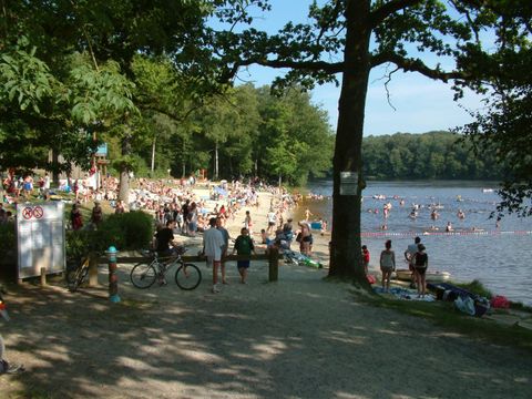Domaine de la Motte - Camping Ardennes - Image N°15