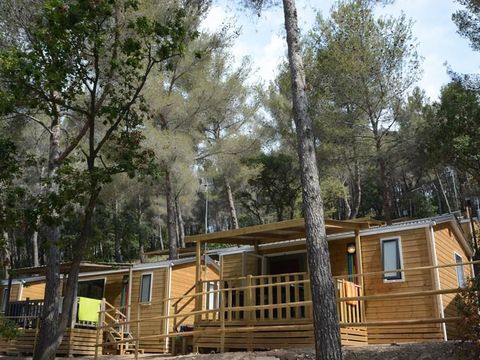 MOBILHOME 4 personnes - Lavande