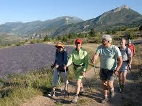 Camping de Valsaintes - Camping Alpes-de-Haute-Provence - Image N°41