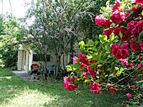 Camping de Valsaintes - Camping Alpes-de-Haute-Provence - Image N°17