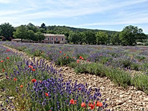 Camping de Valsaintes - Camping Alpes-de-Haute-Provence - Image N°18