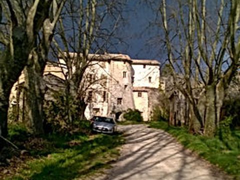 Camping de Valsaintes - Camping Alpes-de-Haute-Provence - Image N°15