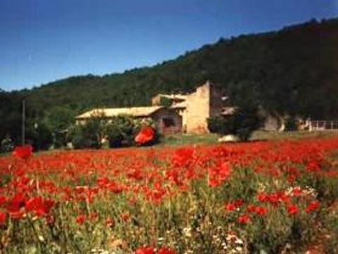 Camping de Valsaintes - Camping Alpes-de-Haute-Provence - Image N°46