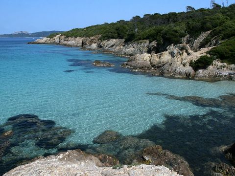 Flower Camping Orly d'Azur - Camping Var - Image N°10