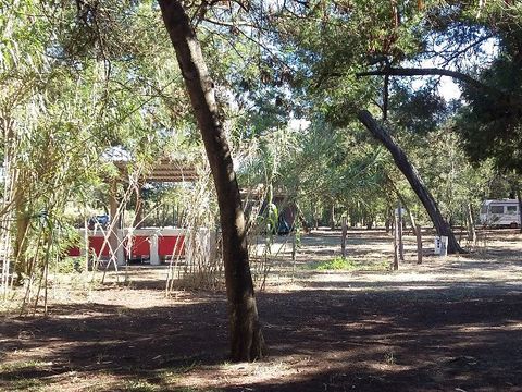 Camping Europa Beach - Camping Corse du Nord - Image N°6