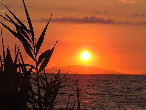 Camping Europa Beach - Camping Corse du Nord - Image N°13