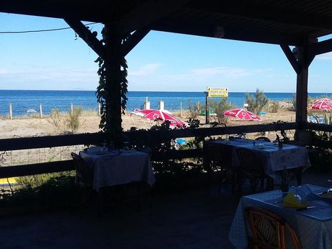 Camping Europa Beach - Camping Corse du Nord - Image N°4