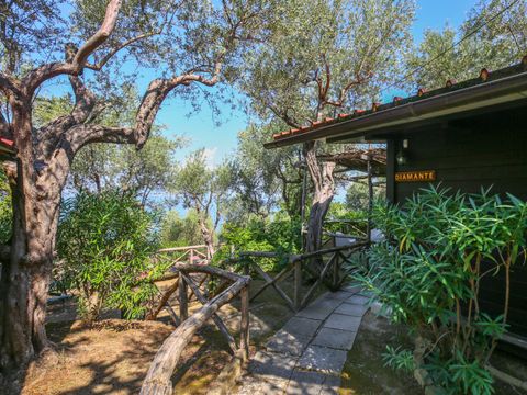 BUNGALOW 4 personnes - Bungalow Superior