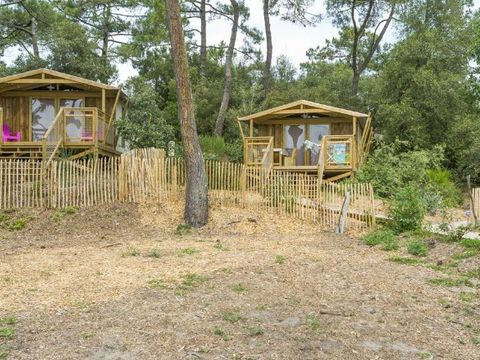 HÉBERGEMENT INSOLITE 5 personnes - Ecolodge Premium Sweet