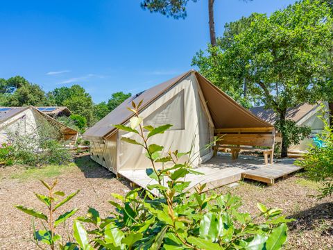 TENTE TOILE ET BOIS 5 personnes - SWEET JUNIOR EDEN