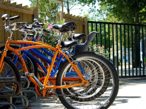  Camping des Pins  - Camping Gironde - Image N°20