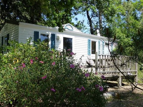 MOBILHOME 4 personnes - CONFORT