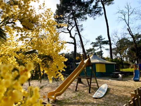  Camping des Pins  - Camping Gironde - Image N°13