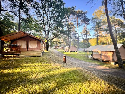 BUNGALOW TOILÉ 5 personnes - Bungalow Toilé Luxe 3 Pièces 5 Personnes Sans Sanitaire