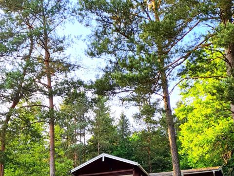 GÎTE 9 personnes - Gîte 4 Pièces 7/9 Personnes Climatisé + TV